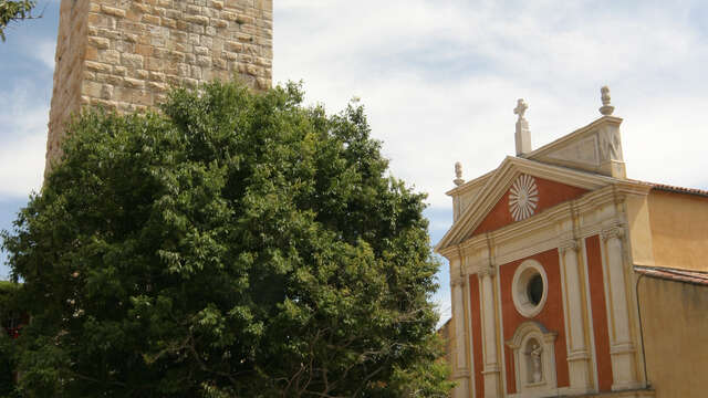 Cathedrale Notre Dame de la Platea d'Antibes