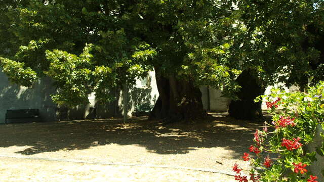 Sentier patrimoine