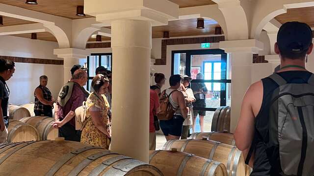 Vertical tasting of red wines