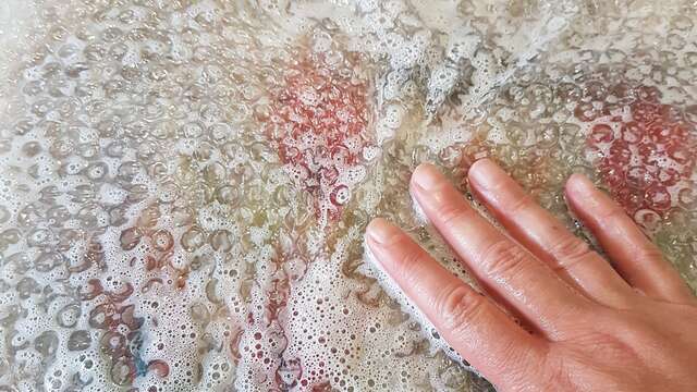 Atelier découverte - Feutrage de la laine - Petit tableau