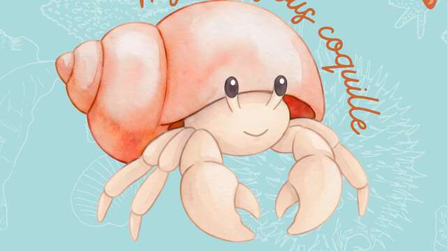 Mystère sous coquille : l'enquête de Berny le Bernard l'Hermite à La Flotte