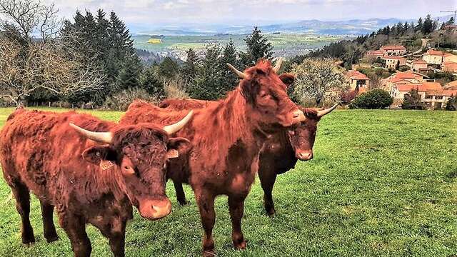 Balade à la ferme La Sagnole