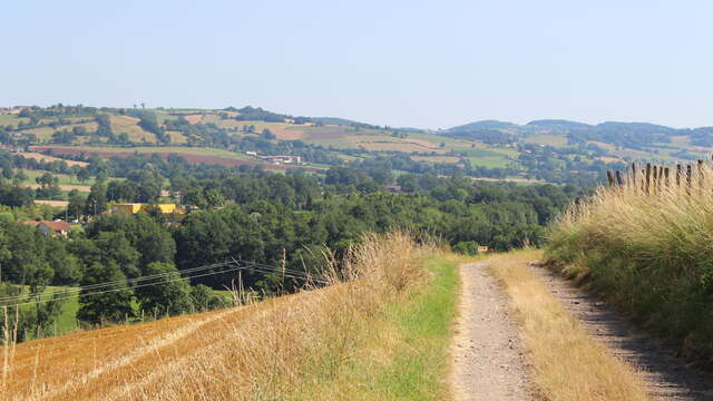 Sentier entre Loire et Rhône