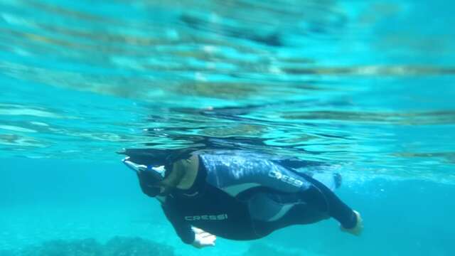 Nage palmée sur les vestiges d'Olbia