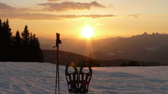 Night-time stroll & Savoyard fondue in a refuge