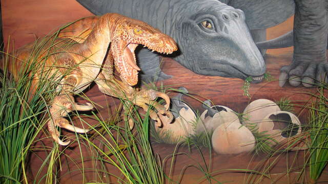 Exposition : Dinosaures de Provence