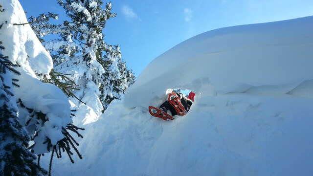Guide Nature Randonnée - Raquettes