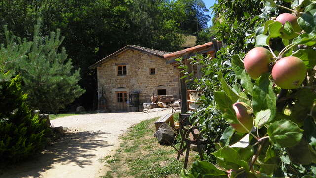 Le Moulin des Massons