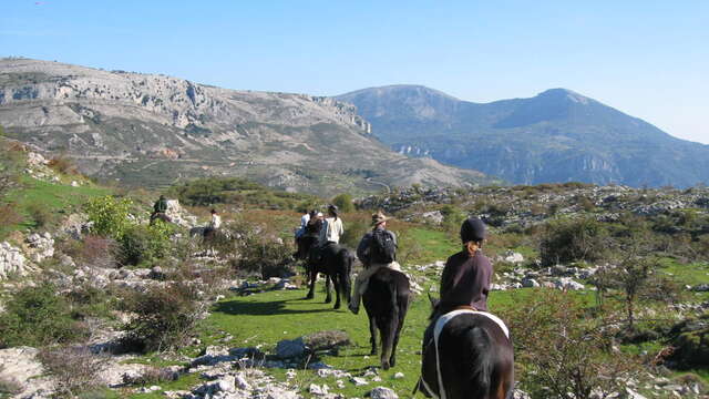 The Route Napoléon on Horseback - Grasse-Séranon