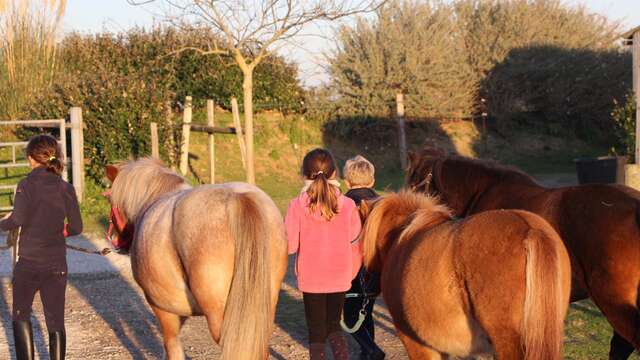 Cours et stage aux petites Écuries de Vasco