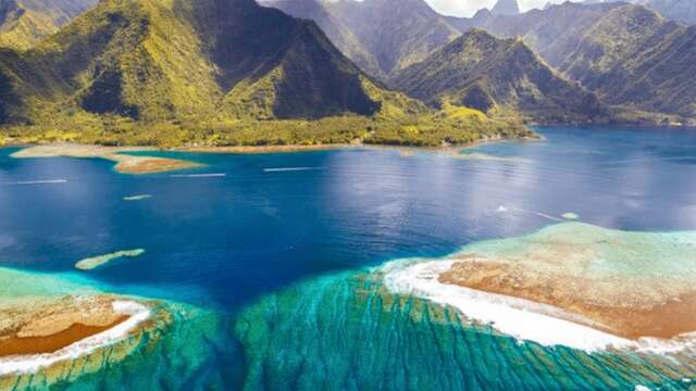 Tahiti Iti Tour & Surf - Sortie baleines