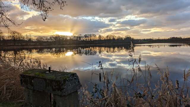 Balade ornithologique au lever du soleil