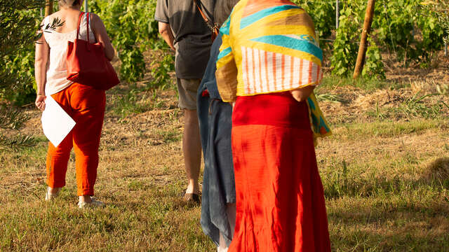 Balade pédagogique au coeur du vignoble du Domaine de Mas Caron