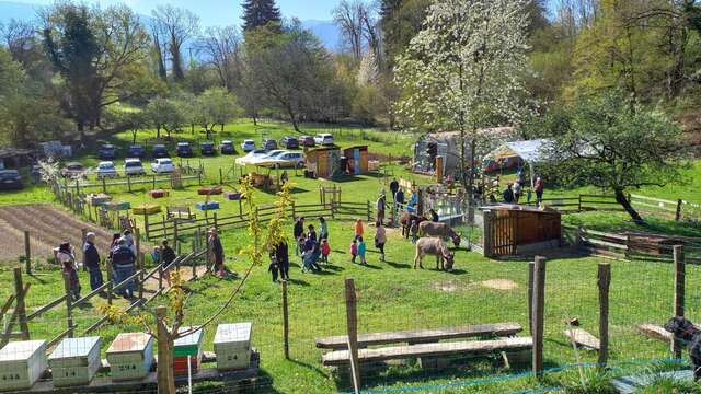 Découverte de la ferme du Haut-Chablais et tour à dos d'âne