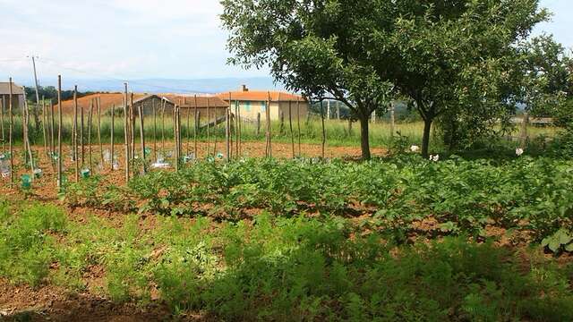 Le Gîte des Hortensias