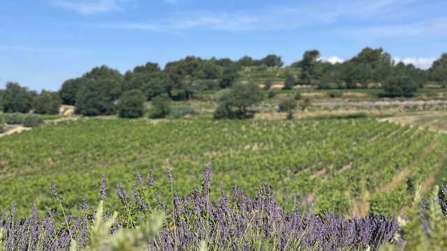 Domaine de la Coquillade