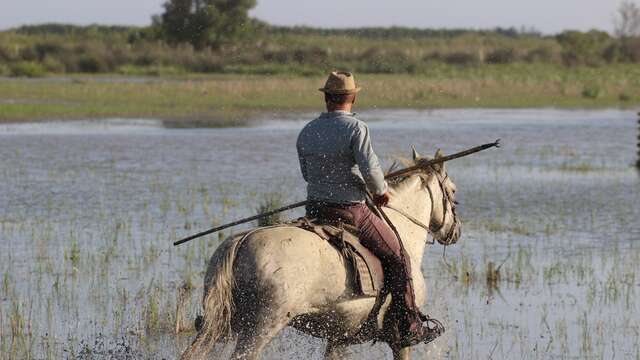 Manade La Grand Ponche