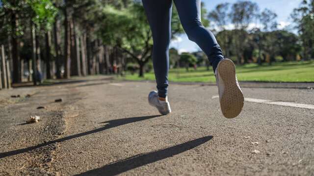 Jogging course