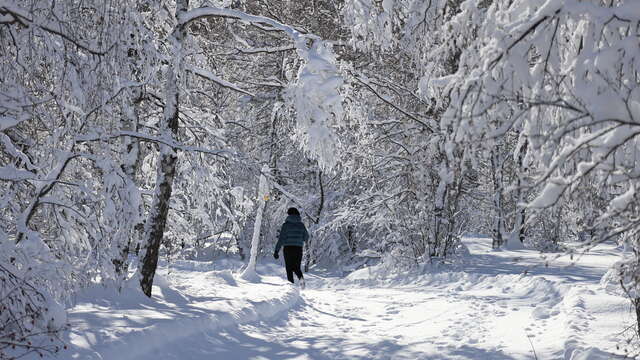 Itinéraire piéton au domaine nordique de Villar d'Arène