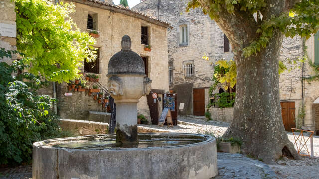 Guided tour of the Upper Town