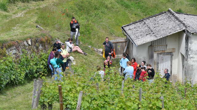 Domaine des Crocs Blancs