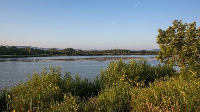 Nature en famille : de la Garrigue à l'observation des oiseaux