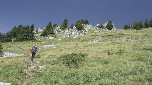 The Vernaz pass