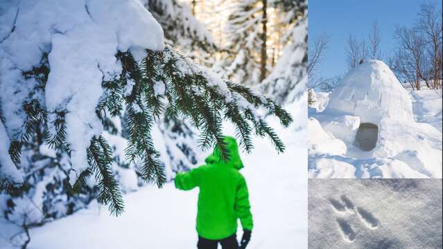 Après-midi raquettes mini trappeur