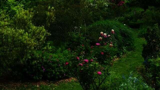 Jazz au jardin