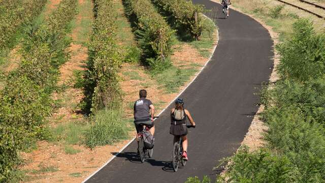 La Méditerranée à vélo n°5 : Draguignan > Cannes