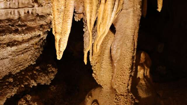Grotte du Bosc