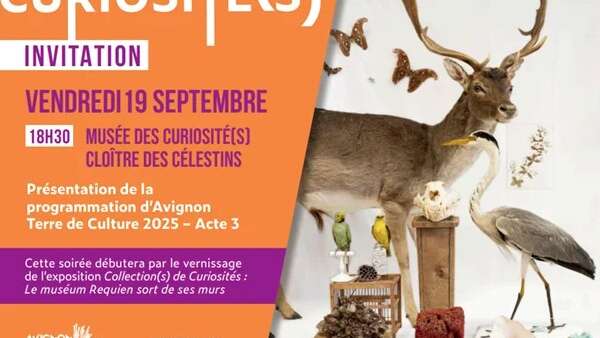 Présentation de l’ACTE 3 d’Avignon Terre de Culture 2025