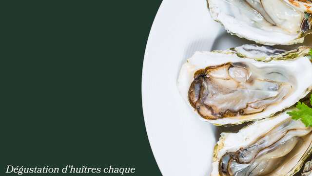 Animation - Matinée iodée