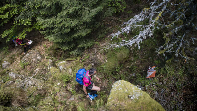 Parcours permanent d'orientation vert : La Loge des Gardes - Laprugne Nord