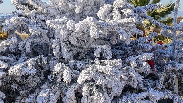 Noël féerique quartier Notre-Dame du Mont