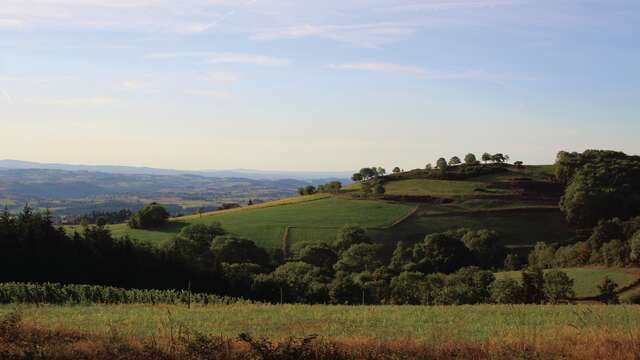 Circuit "Sur les traces de l'Empereur" (Départ Villemontais)
