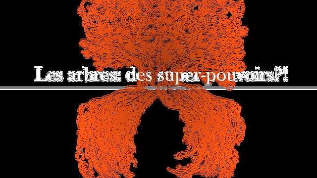 Conférence : Arbres, des super-pouvoirs?!
