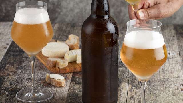 Atelier Découverte "Vin & Bière"