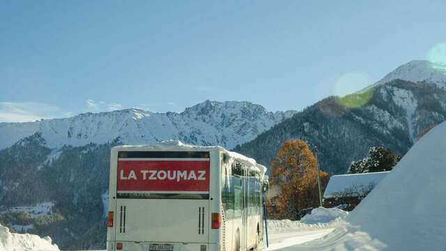 Ski Bus
