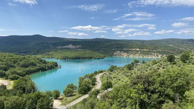 Guided tour of the Bauduen Olive Grove