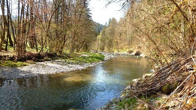 Parcours pêche à la mouche, La Menoge en Vallée Verte