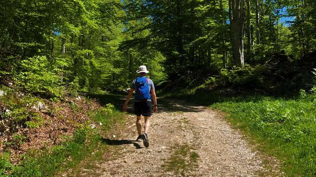 Das Plateau de Retord