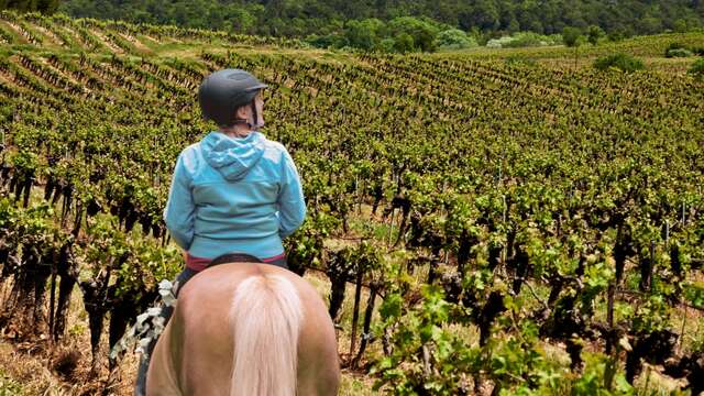 Balade équestre au coeur des vignes | Vignobles en scène