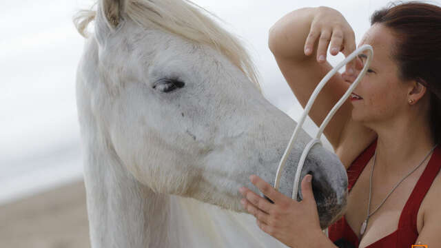 Stage éthologie - Ferme équestre du Grand Bois
