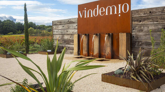 Domaine Vindemio