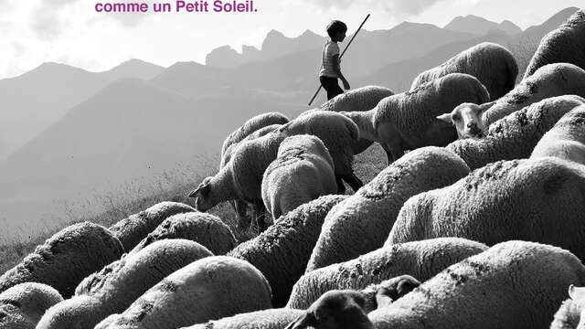 Vernissage de l'exposition "Petit Soleil" de Yannick Blancard [Reporté]