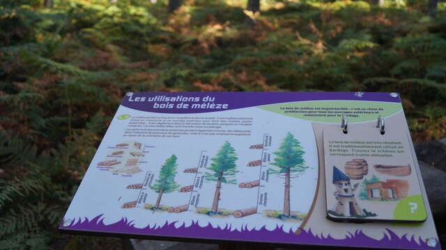 Sentier pédagogique "De l'Arbre au Bois"