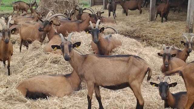 La Ferme du Touja