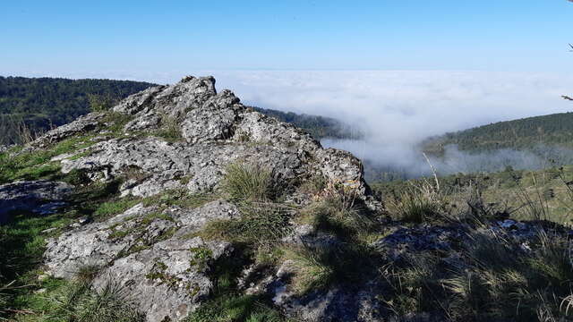Crête de la Cabatane - On the rocks
