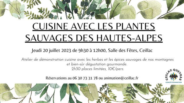 La cuisine avec les plantes des Hautes-Alpes